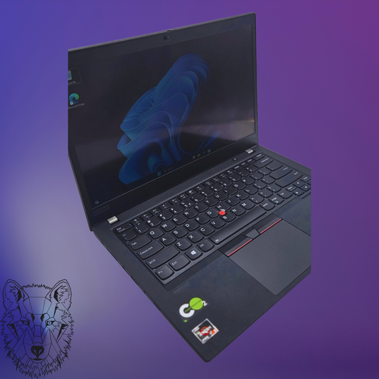 Lenovo ThinkPad T14s Notebook / Laptop